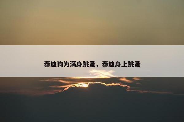 泰迪狗为满身跳蚤，泰迪身上跳蚤