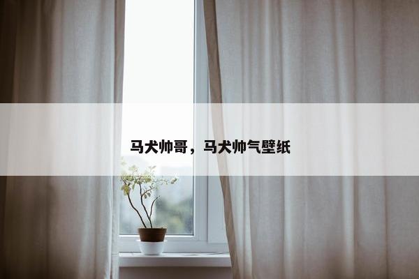 马犬帅哥，马犬帅气壁纸