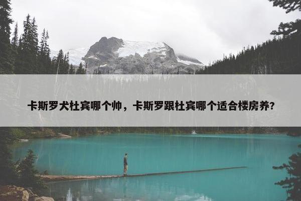 卡斯罗犬杜宾哪个帅，卡斯罗跟杜宾哪个适合楼房养?