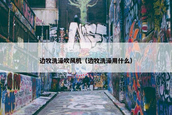 边牧洗澡吹风机（边牧洗澡用什么）