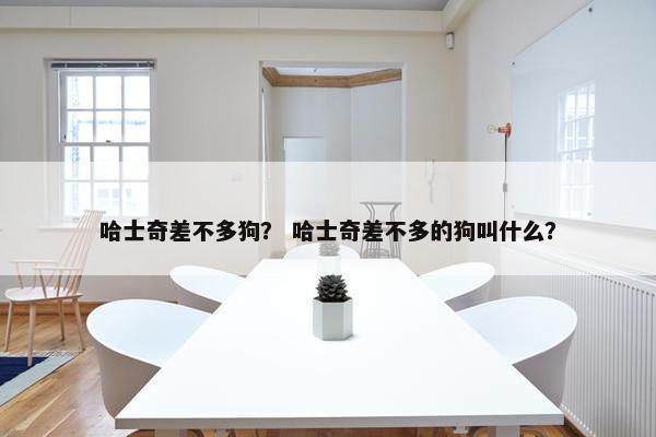 哈士奇差不多狗？ 哈士奇差不多的狗叫什么？