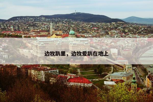 边牧趴里，边牧爱趴在地上