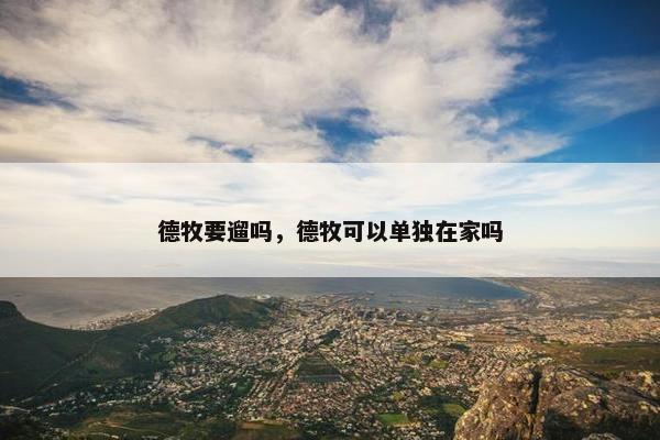 德牧要遛吗，德牧可以单独在家吗