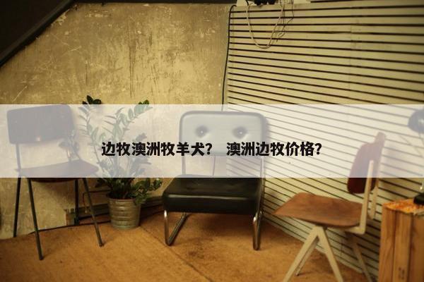 边牧澳洲牧羊犬？ 澳洲边牧价格？