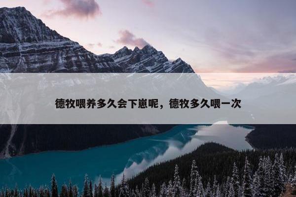德牧喂养多久会下崽呢，德牧多久喂一次