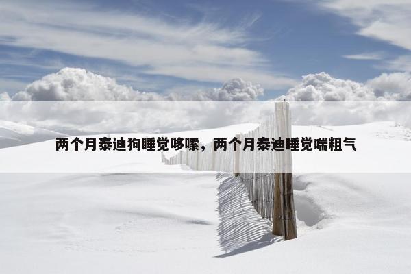 两个月泰迪狗睡觉哆嗦，两个月泰迪睡觉喘粗气