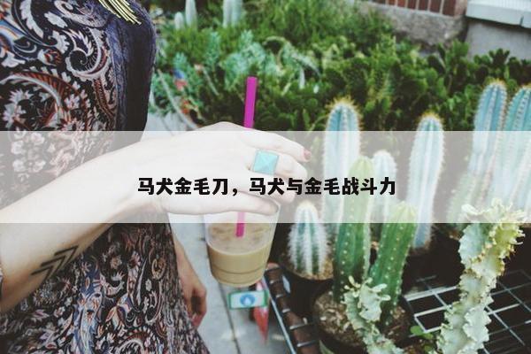 马犬金毛刀，马犬与金毛战斗力