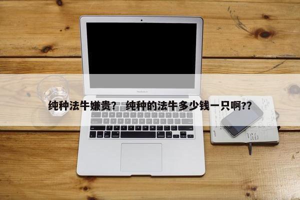 纯种法牛嫌贵？ 纯种的法牛多少钱一只啊?？