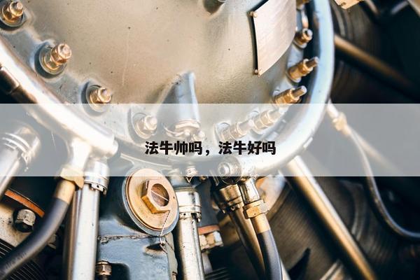 法牛帅吗，法牛好吗