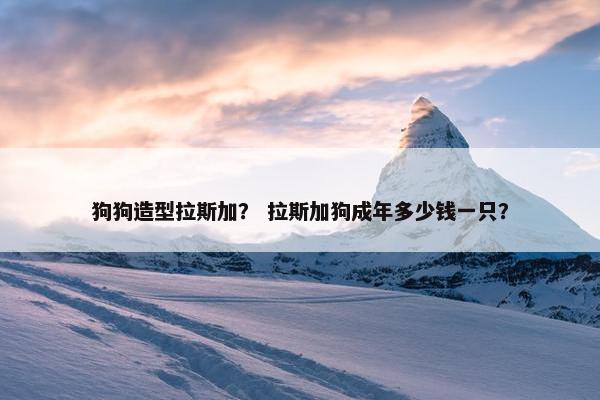 狗狗造型拉斯加？ 拉斯加狗成年多少钱一只？