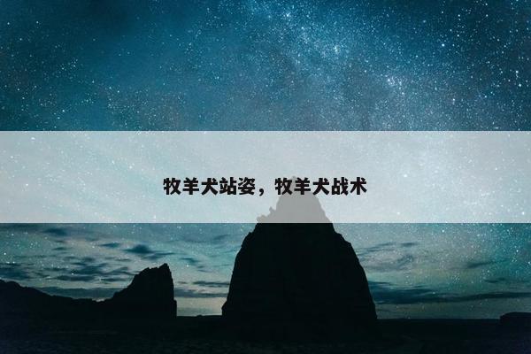牧羊犬站姿，牧羊犬战术