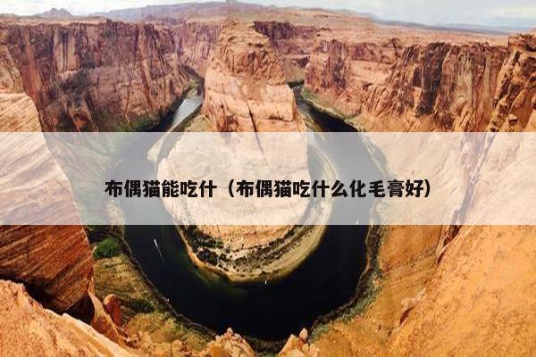 布偶猫能吃什（布偶猫吃什么化毛膏好）