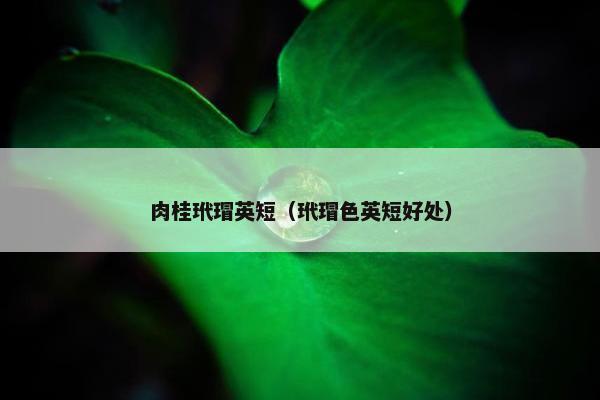 肉桂玳瑁英短（玳瑁色英短好处）