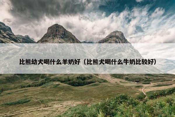 比熊幼犬喝什么羊奶好（比熊犬喝什么牛奶比较好）