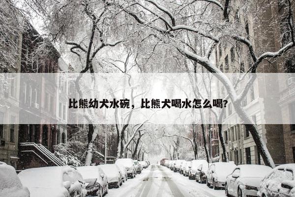 比熊幼犬水碗，比熊犬喝水怎么喝?