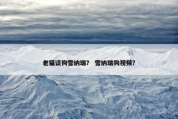 老猫谈狗雪纳瑞？ 雪纳瑞狗视频？