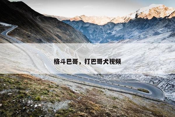 格斗巴哥，打巴哥犬视频