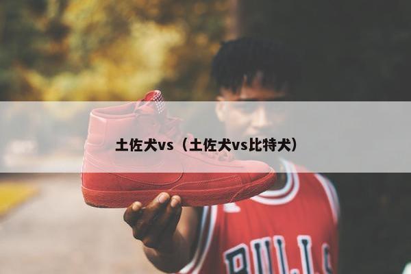 土佐犬vs（土佐犬vs比特犬）