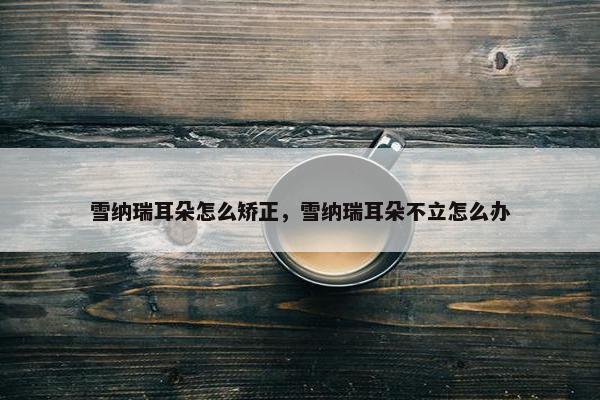 雪纳瑞耳朵怎么矫正，雪纳瑞耳朵不立怎么办