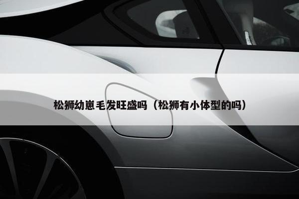 松狮幼崽毛发旺盛吗（松狮有小体型的吗）