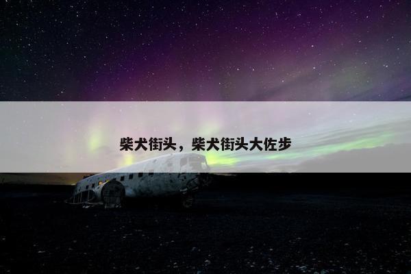 柴犬街头，柴犬街头大佐步
