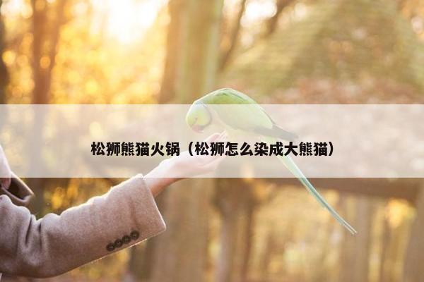 松狮熊猫火锅（松狮怎么染成大熊猫）