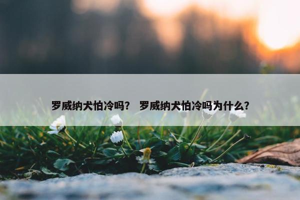 罗威纳犬怕冷吗？ 罗威纳犬怕冷吗为什么？