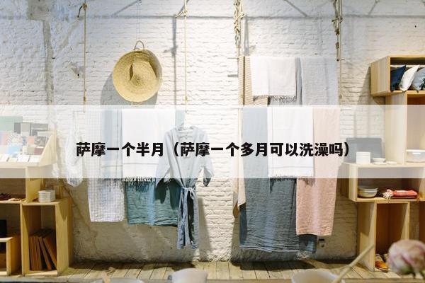 萨摩一个半月（萨摩一个多月可以洗澡吗）