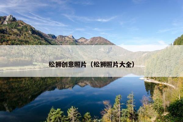松狮创意照片（松狮照片大全）