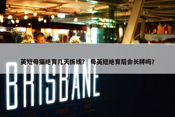 英短母猫绝育几天拆线？ 母英短绝育后会长胖吗？