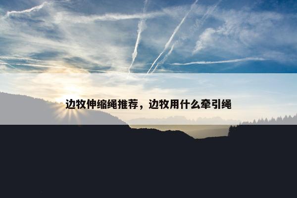 边牧伸缩绳推荐，边牧用什么牵引绳