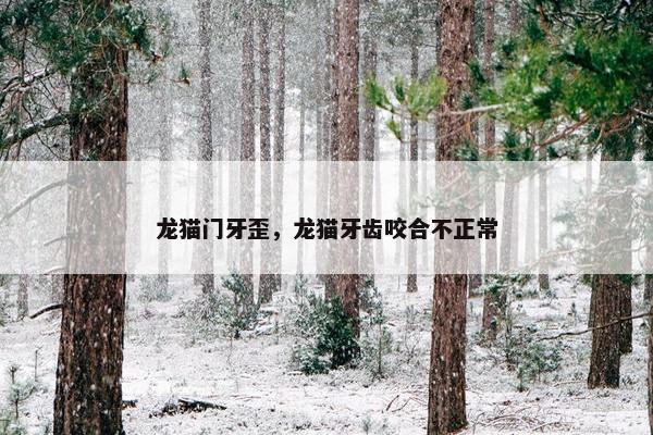 龙猫门牙歪，龙猫牙齿咬合不正常