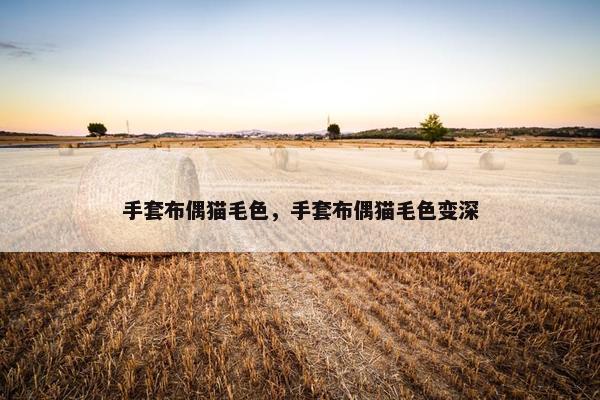手套布偶猫毛色，手套布偶猫毛色变深