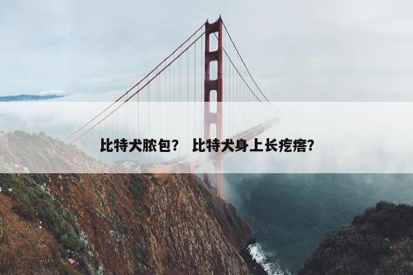 比特犬脓包？ 比特犬身上长疙瘩？
