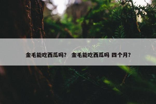 金毛能吃西瓜吗？ 金毛能吃西瓜吗 四个月？
