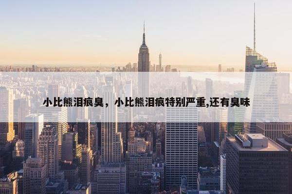 小比熊泪痕臭，小比熊泪痕特别严重,还有臭味