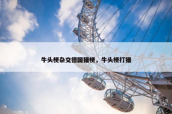 牛头梗杂交德国猎梗，牛头梗打猎