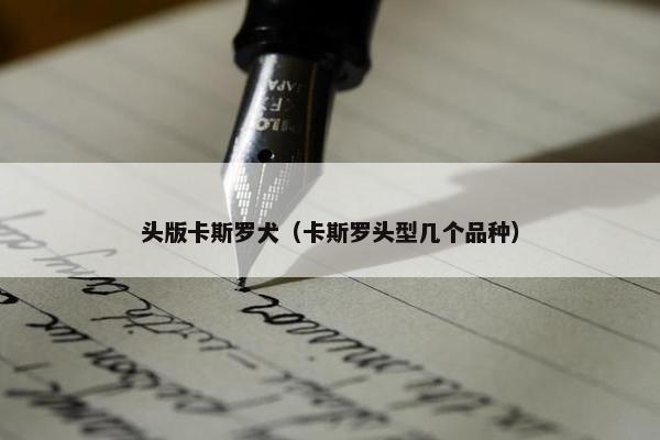 头版卡斯罗犬（卡斯罗头型几个品种）