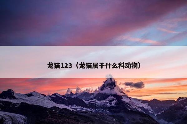 龙猫123（龙猫属于什么科动物）