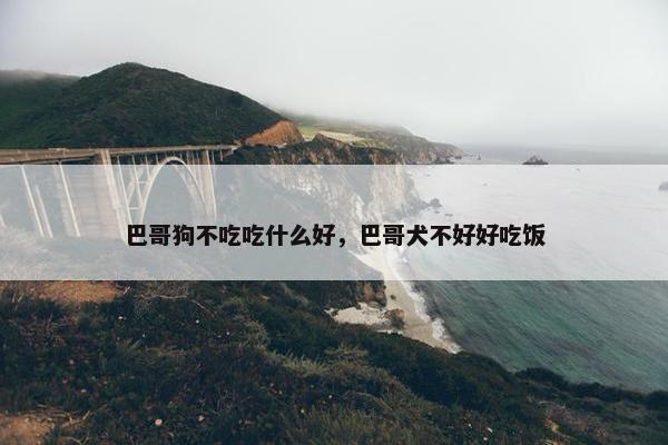 巴哥狗不吃吃什么好，巴哥犬不好好吃饭