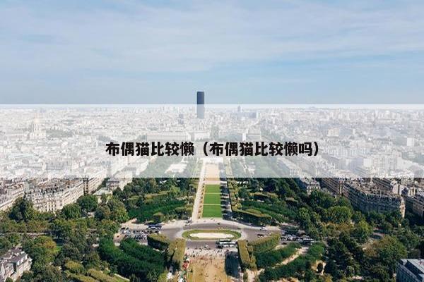 布偶猫比较懒（布偶猫比较懒吗）