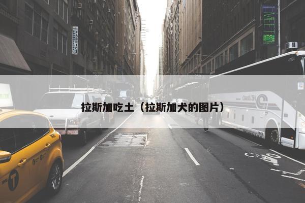 拉斯加吃土（拉斯加犬的图片）