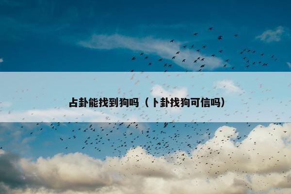占卦能找到狗吗（卜卦找狗可信吗）