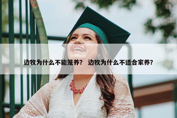 边牧为什么不能笼养？ 边牧为什么不适合家养？