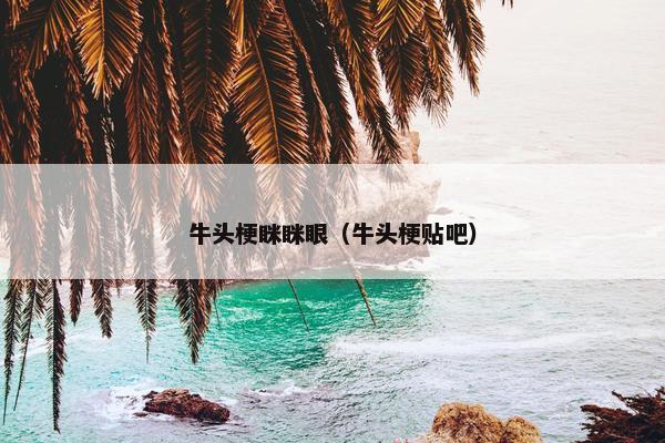 牛头梗眯眯眼（牛头梗贴吧）