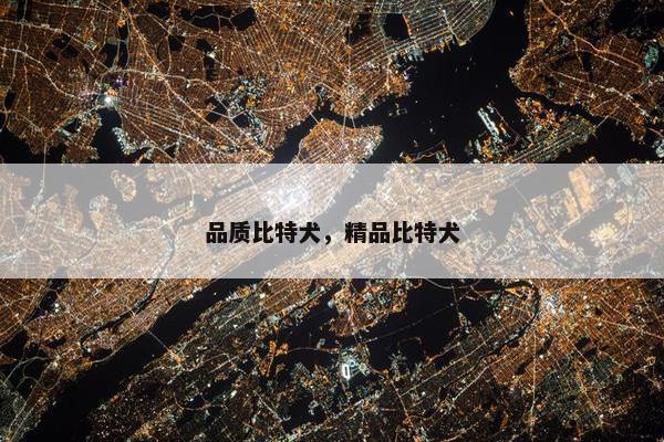 品质比特犬，精品比特犬