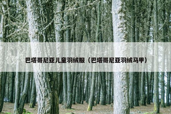 巴塔哥尼亚儿童羽绒服（巴塔哥尼亚羽绒马甲）