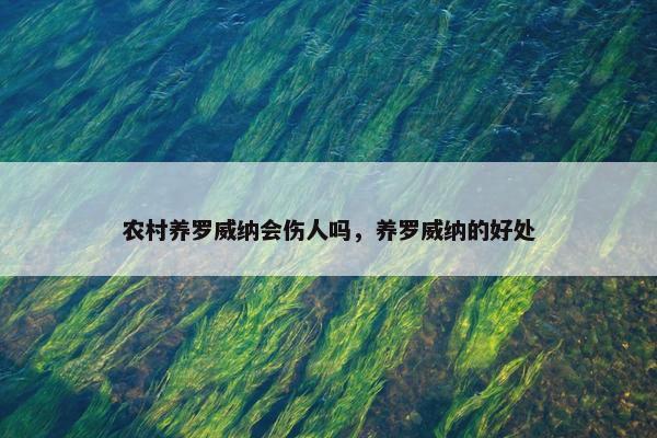 农村养罗威纳会伤人吗，养罗威纳的好处