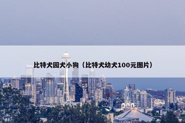比特犬园犬小狗（比特犬幼犬100元图片）