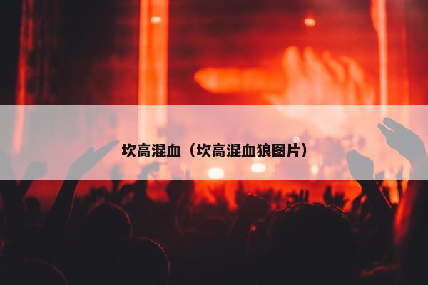 坎高混血（坎高混血狼图片）